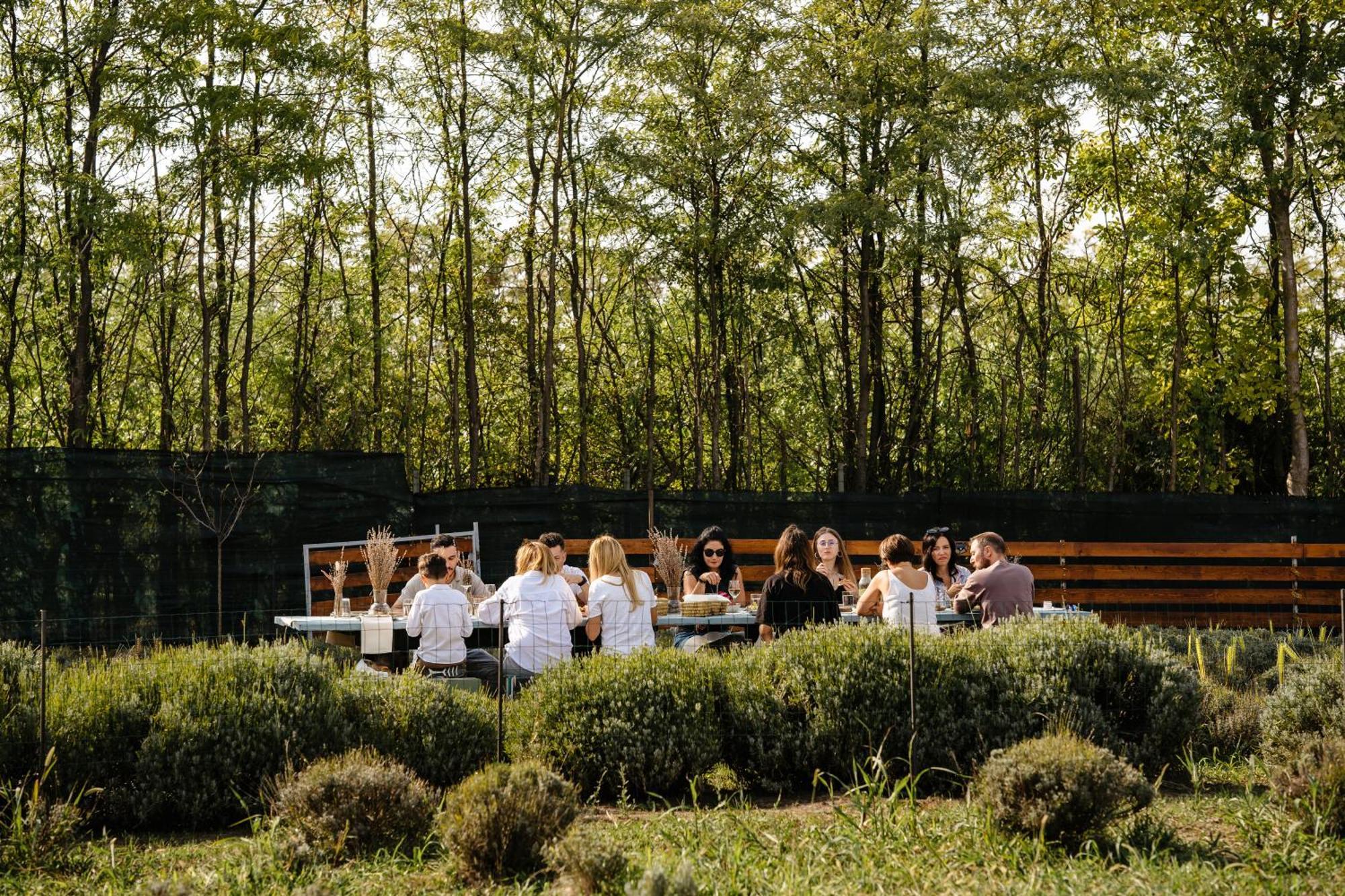 מלון Branesti The Tribe Alpaca Retreat מראה חיצוני תמונה