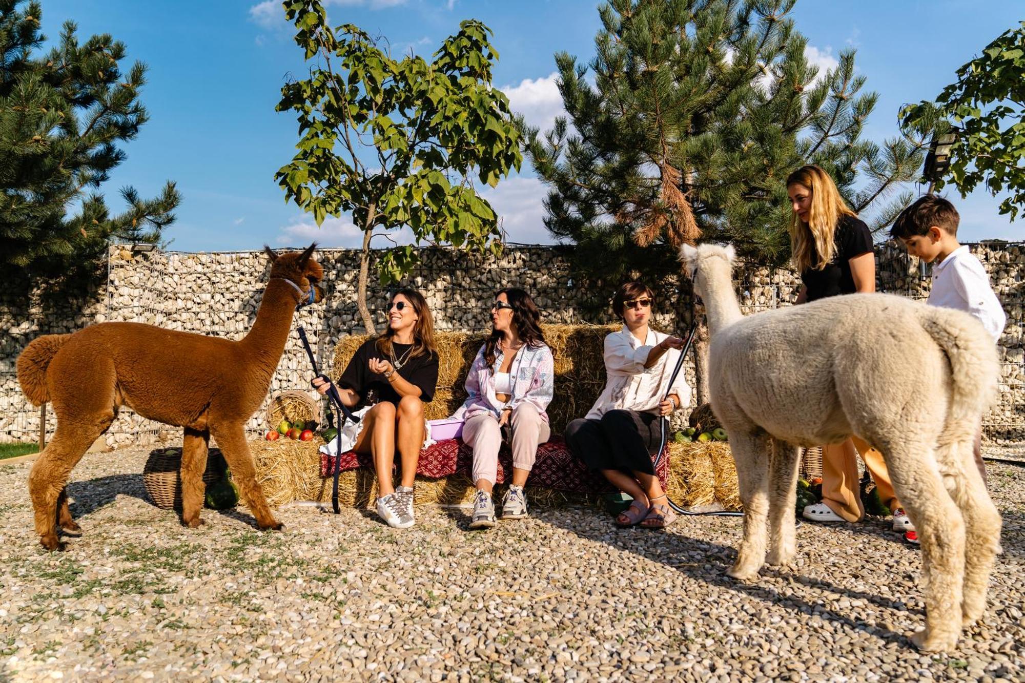 מלון Branesti The Tribe Alpaca Retreat מראה חיצוני תמונה