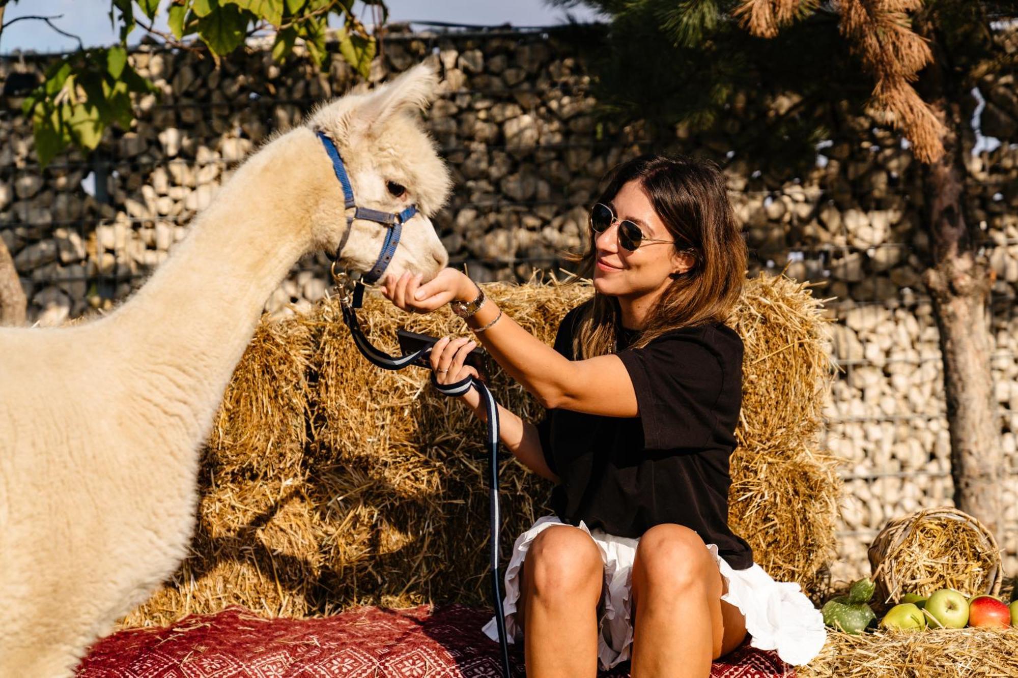 מלון Branesti The Tribe Alpaca Retreat מראה חיצוני תמונה